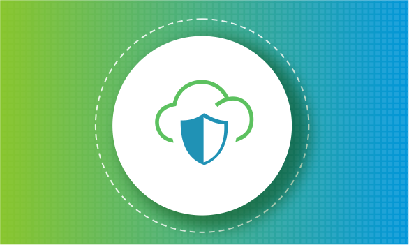 Cloud Data Protection