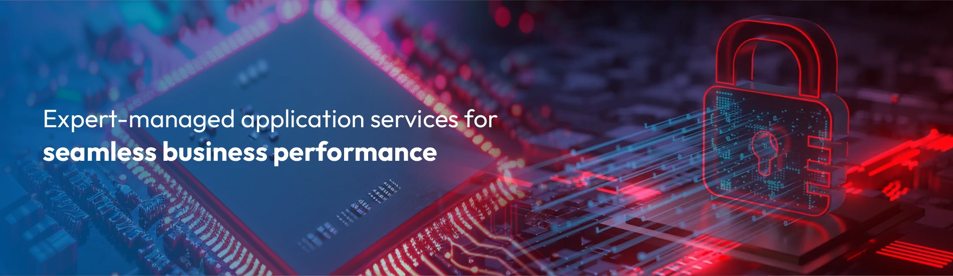 Managed Application Services Managed Application Services by VLC Solutions